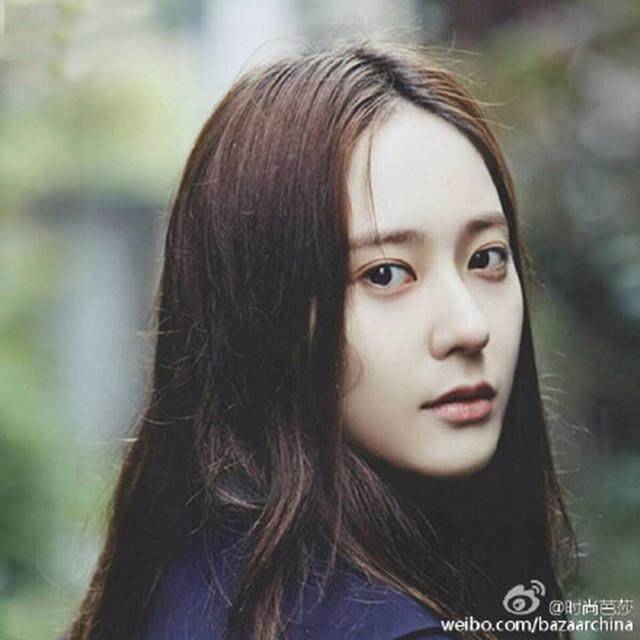 大唐牡丹